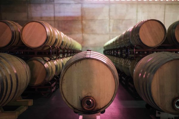 Quels sont les différents modes de fermentation du saké japonais ?